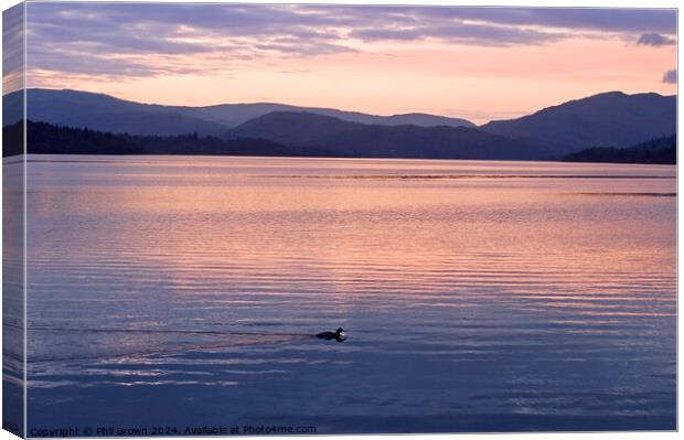 Lonely sunset for a duck on Windermere Canvas Print by Phil Brown