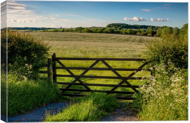 Field gate into pasture. Canvas Print by Phil Brown