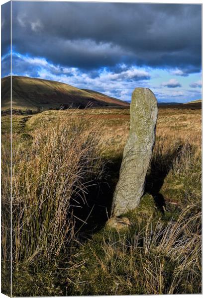 Marker post on Uldale Moor, Cumbria Canvas Print by Phil Brown