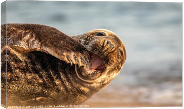 Grey Seal in Norfolk Canvas Print by Donna Smith