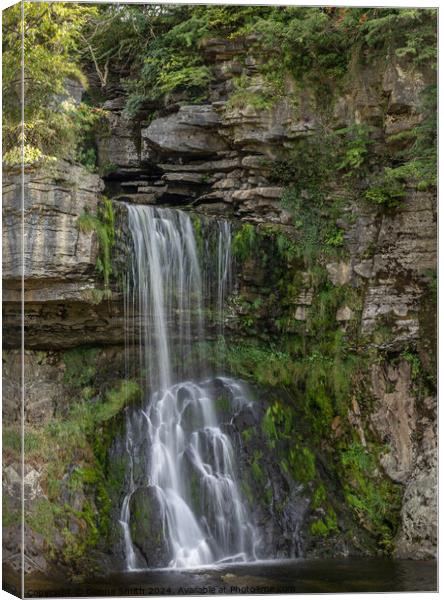 Ingleton Waterfall Trail Canvas Print by Donna Smith