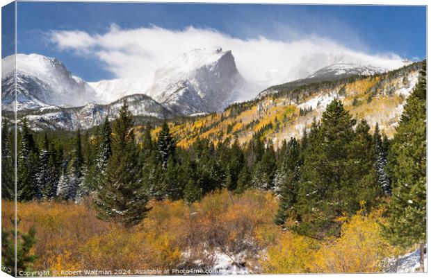 Early Fall Storm with Changing Aspen Trees at Rocky Mountain National Park Canvas Print by Robert Waltman
