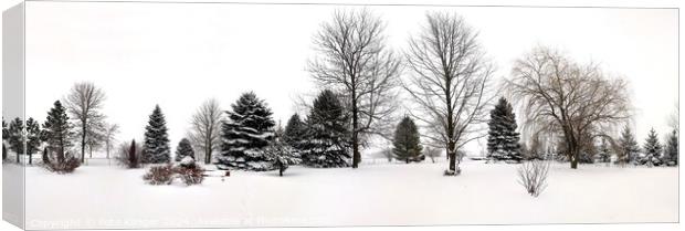 Winter Snow Panorama Canvas Print by Pete Klinger