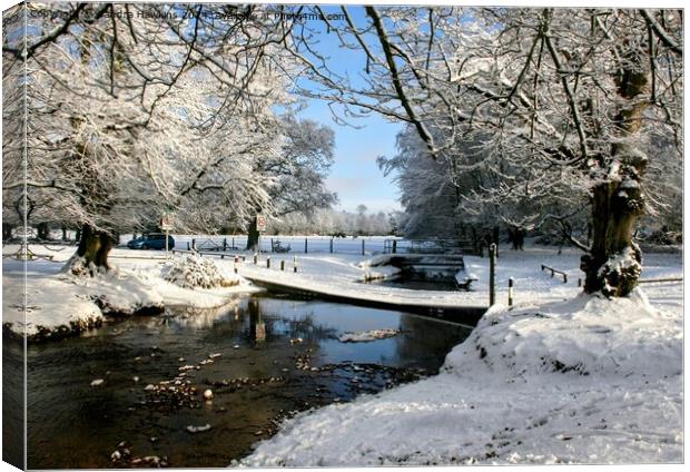 Ford in the snow Canvas Print by Sandra  Hawkins 