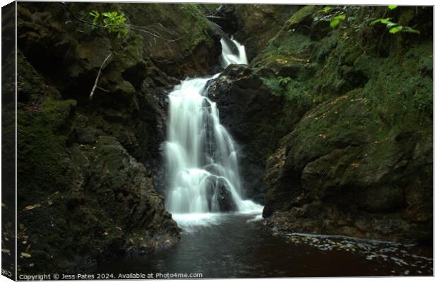 Golspie Burn Waterfall Canvas Print by Jess Pates