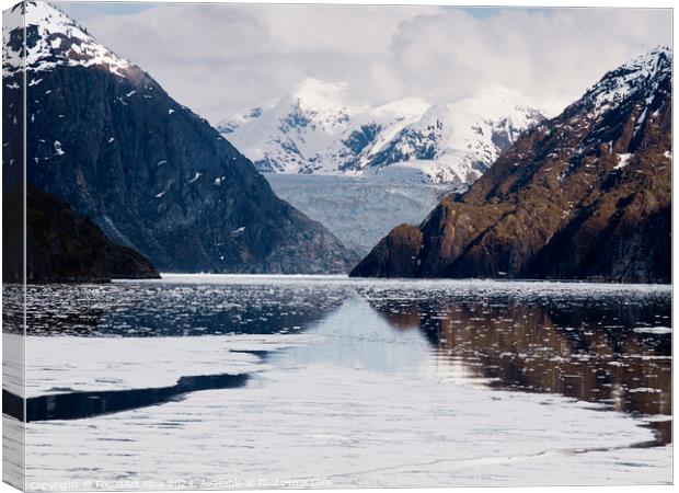 Tracy Arm Fjord Glacier View in Alaskan Wilderness Canvas Print by FocusArt Flow