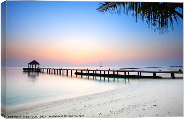 Sunrise in the Maldives Canvas Print by Ian Good