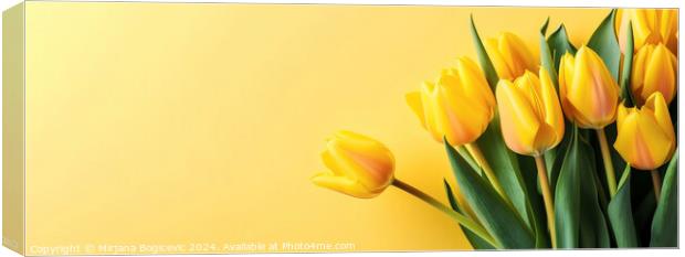 Yellow tulips on the yellow background Canvas Print by Mirjana Bogicevic
