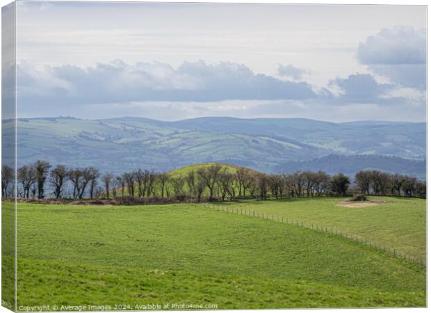 Stapeley Hill Canvas Print by Average Images