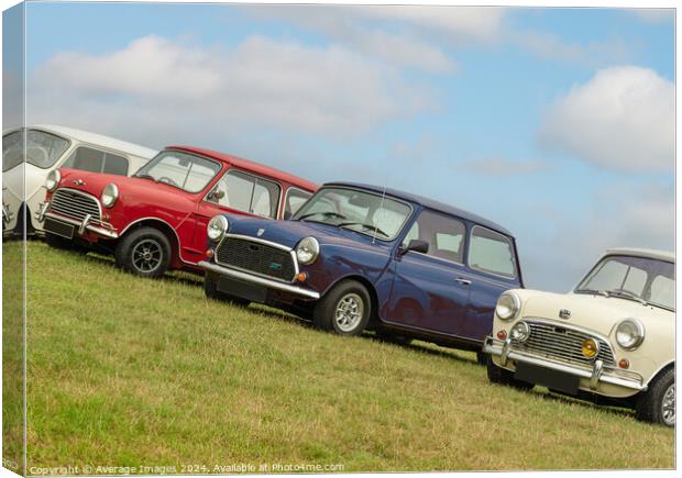 British Minis Canvas Print by Average Images