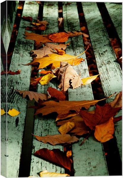 autumn Canvas Print by Matthias Betzer