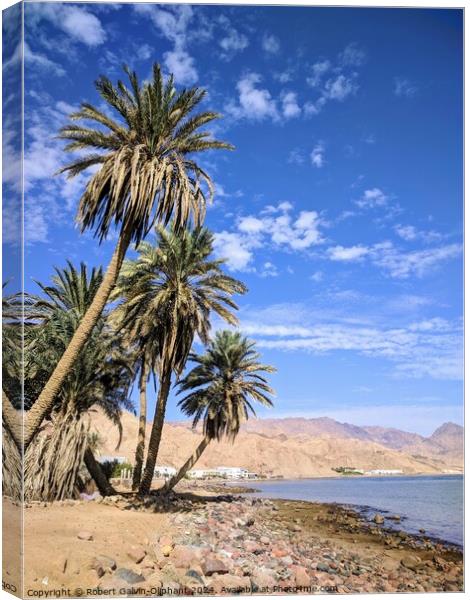 Palms on a Dahab, Egypt beach Canvas Print by Robert Galvin-Oliphant