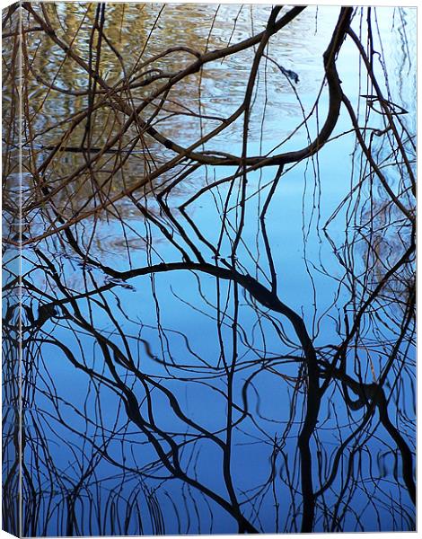 Reflection Canvas Print by val butcher