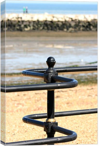 Railings Canvas Print by val butcher