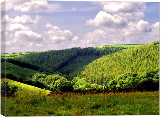Devon Landscape Canvas Print by val butcher