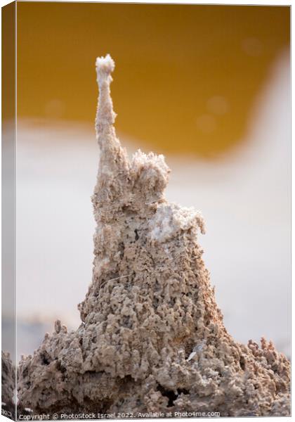 Dead Sea salt formation  Canvas Print by PhotoStock Israel