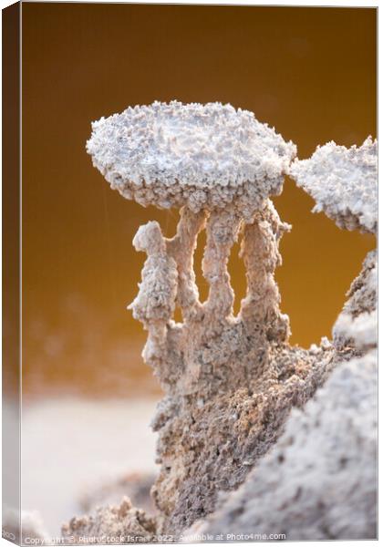 Dead Sea salt formation  Canvas Print by PhotoStock Israel