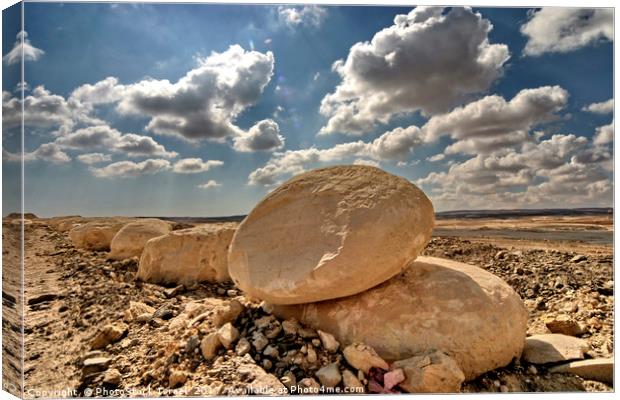 Negev desert Israel Canvas Print by PhotoStock Israel