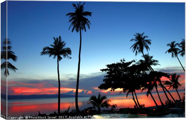 palm trees at sun set Koh Phangan Thailand Canvas Print by PhotoStock Israel