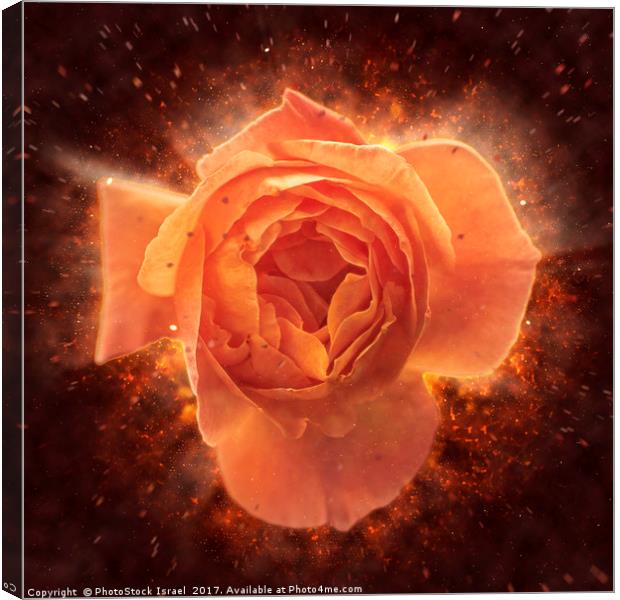 Digitally manipulated Pink English rose  Canvas Print by PhotoStock Israel