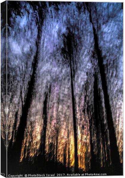 Motion blurred trees in a forest Canvas Print by PhotoStock Israel