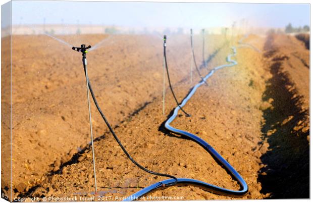 Israel, Negev, watering fields with sprinklers Canvas Print by PhotoStock Israel