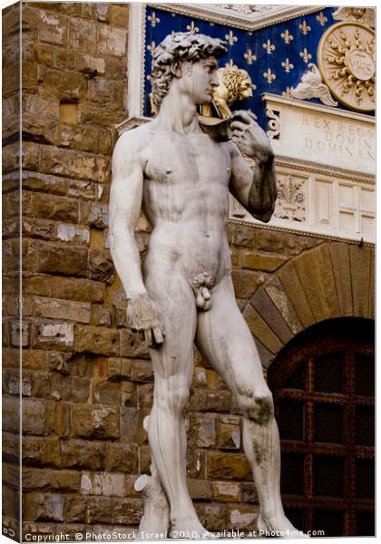 The statue of David  Canvas Print by PhotoStock Israel
