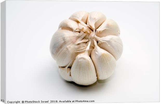 Garlic bulb and cloves Canvas Print by PhotoStock Israel