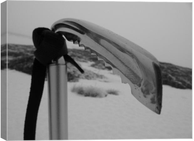 Ice Axe - Black and White Canvas Print by James Lamont