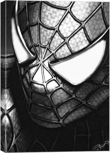 My friendly neighbourhood spiderman Canvas Print by Rob Toombs