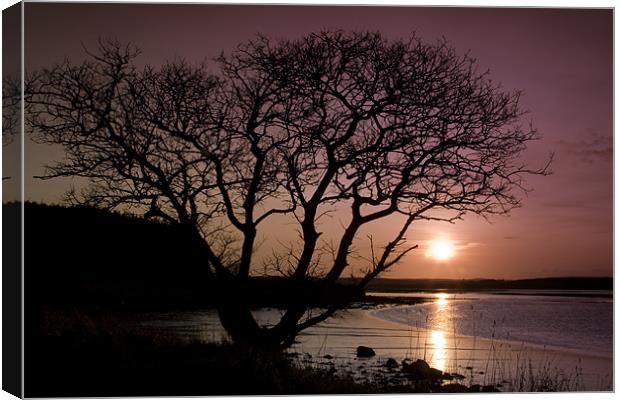 Purple sunset with tree and lake Canvas Print by Gabor Pozsgai