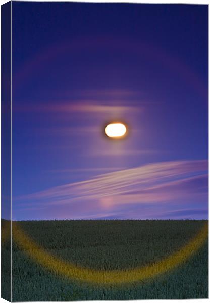 Full moon over the crop field Canvas Print by Gabor Pozsgai