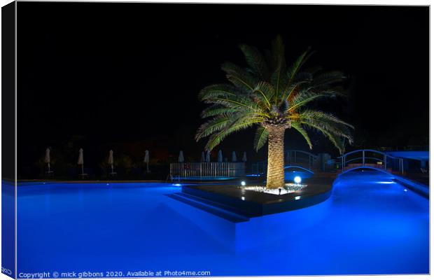 Palm Tree Pool at night Canvas Print by mick gibbons