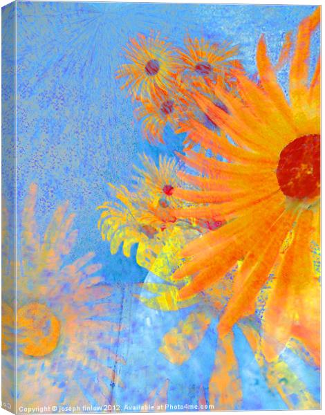 abstract floral Canvas Print by joseph finlow canvas and prints