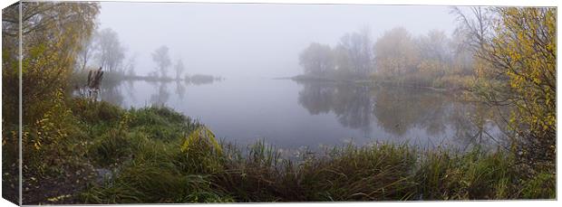 Autumnal fog at riverside Canvas Print by Gennadii Pugachevskyi