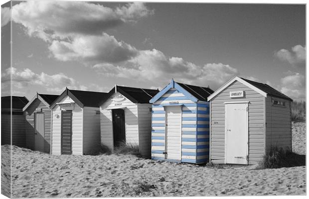 Beach Huts Canvas Print by Stephen Hayes