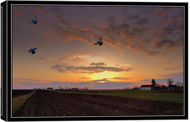 Sunrise  Canvas Print by Jovan Miric