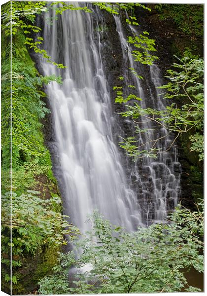 Falling Foss Canvas Print by Terry Sandoe