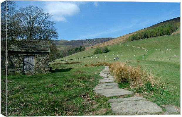 Edale Canvas Print by Sarah Couzens