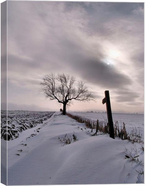A Winters Tale Canvas Print by Sarah Couzens