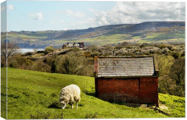 View of Robin Hoods Bay Canvas Print by Sarah Couzens