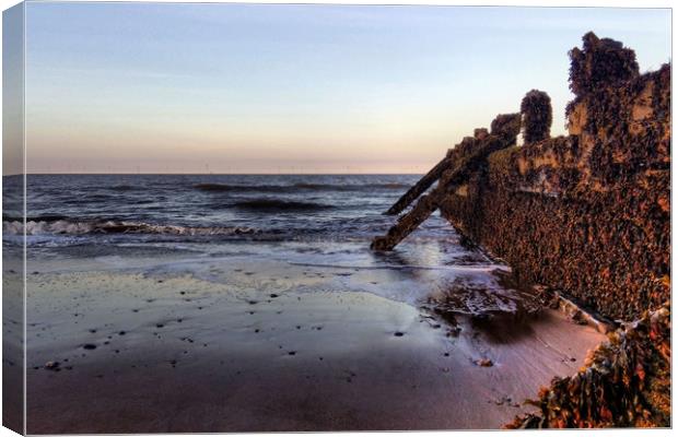 Withernsea Groynes at Sunset Canvas Print by Sarah Couzens