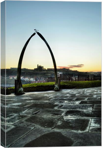 Whitby Whalebone Frost Canvas Print by Sarah Couzens