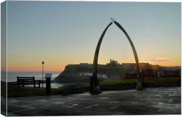 Whitby Whalebone Golden Hour Canvas Print by Sarah Couzens