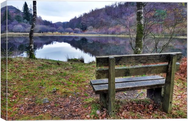 Relax at Yew Tree Tarn  Canvas Print by Sarah Couzens