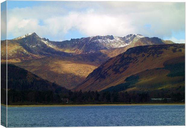 GlenRosa and Goatfell, Arran Canvas Print by Vivienne Barker