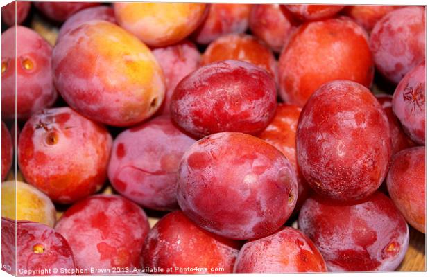 Plums! Canvas Print by Stephen Brown