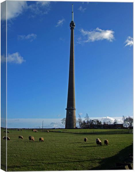 Emley Moor Canvas Print by Stephen Brown