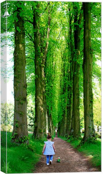 Walking with Giants Canvas Print by Stephen Brown