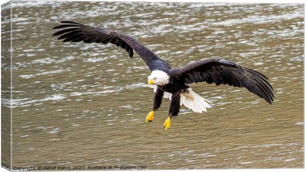 In the air Canvas Print by detlef klahm